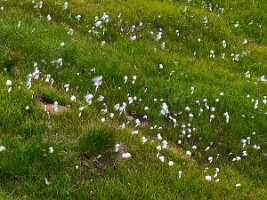 19_08 voreppe cours00042