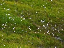 19_08 voreppe cours00043