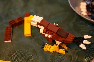 20_11_01 anniv Ethan00054