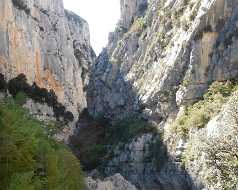 Verdon