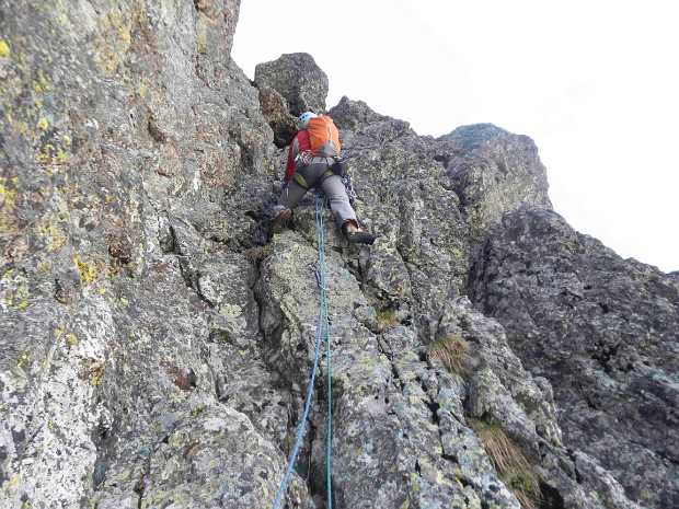 14_06_07 Viens voir le loup (oreille du loup)