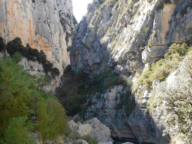 Verdon
