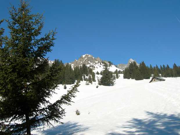 09_03_21 Grand charnier d'allemont