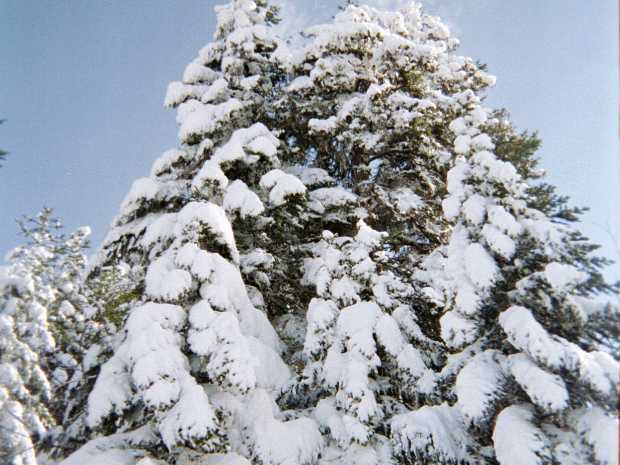 05_02_12 Ski St Pierre