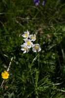 18_06_25 Chemin des crevasses00026