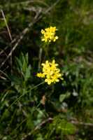 18_06_25 Chemin des crevasses00027