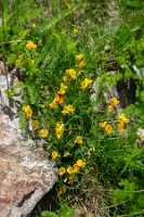 18_06_25 Chemin des crevasses00034