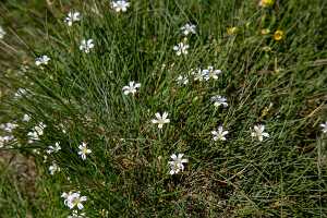 18_06_25 Chemin des crevasses00036