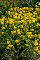 18_06_25 Chemin des crevasses00041