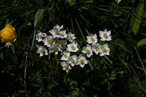 18_06_25 Chemin des crevasses00050