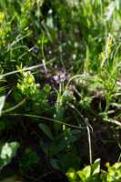 18_06_25 Chemin des crevasses00077