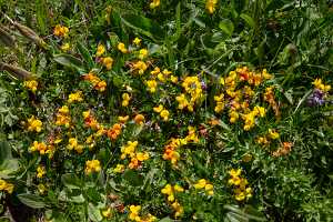 18_06_25 Chemin des crevasses00087