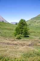 18_06_25 Chemin des crevasses00092