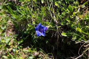 18_06_25 Chemin des crevasses00099