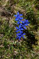 18_06_25 Chemin des crevasses00100