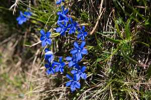 18_06_25 Chemin des crevasses00101