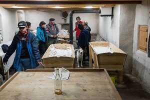 2016_11_19 Pain Bouilli_73_gmail