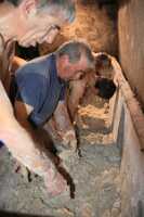 10_11_18 Pain Bouilli-805